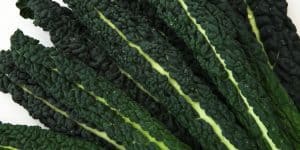 CAVOLO NERO