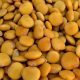 LUPINI