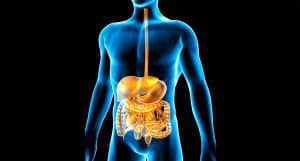 SINDROME DA MALASSORBIMENTO INTESTINALE