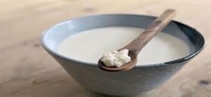 IL KEFIR