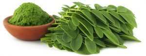 moringa