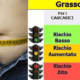 SINDROME METABOLICA GRASSO VISCERALE