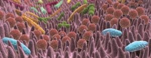 MICROBIOTA INTESTINALE UMANO