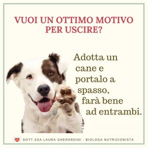 ADOTTA UN CANE