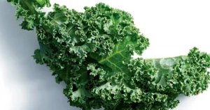 Kale: il superfood di cui tutti parlano