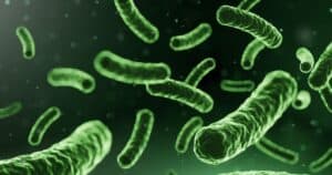 Probiotici e tono dell’umore: Quando l’equilibrio Inizia dall’intestino